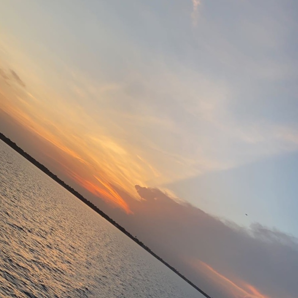 Accept offers✨🌸🌸